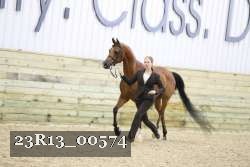 23R13_00574 thumbnail