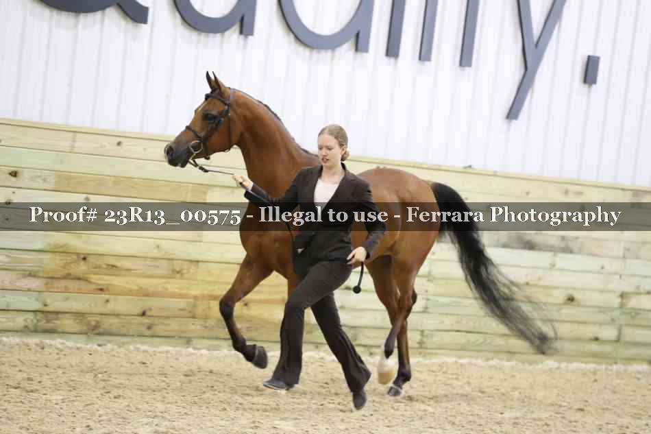 Proof Number 23R13_00575