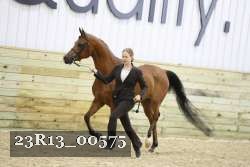 23R13_00575 thumbnail