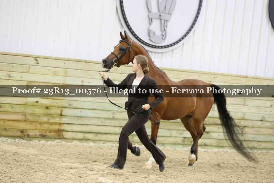 Proof Number 23R13_00576