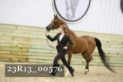 23R13_00576 thumbnail
