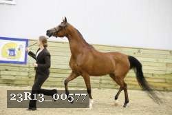 23R13_00577 thumbnail