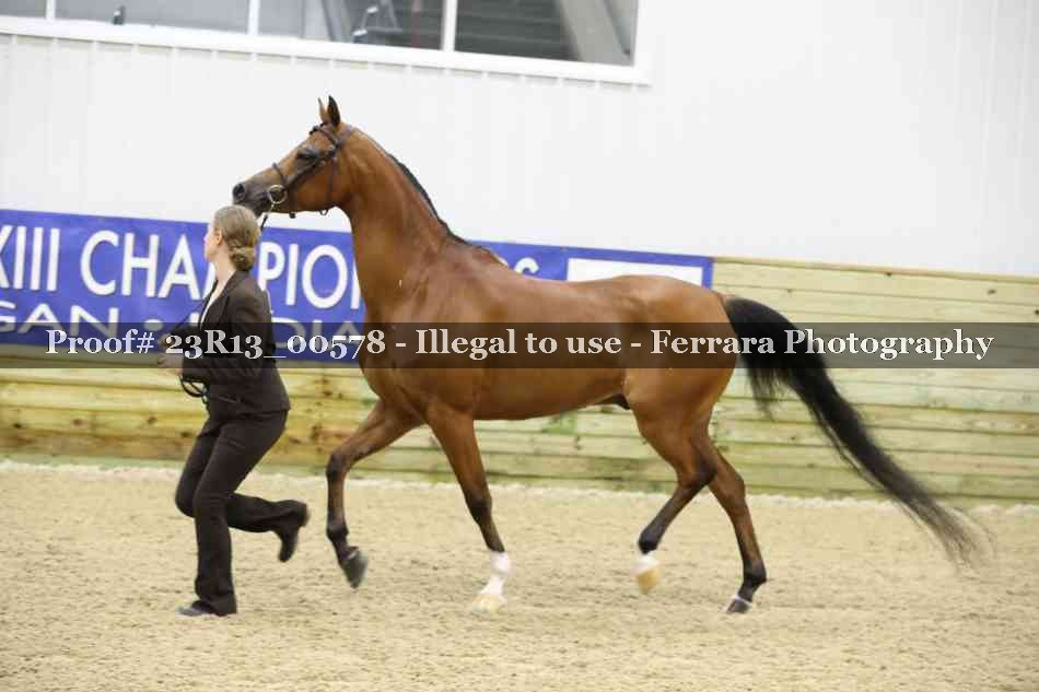 Proof Number 23R13_00578
