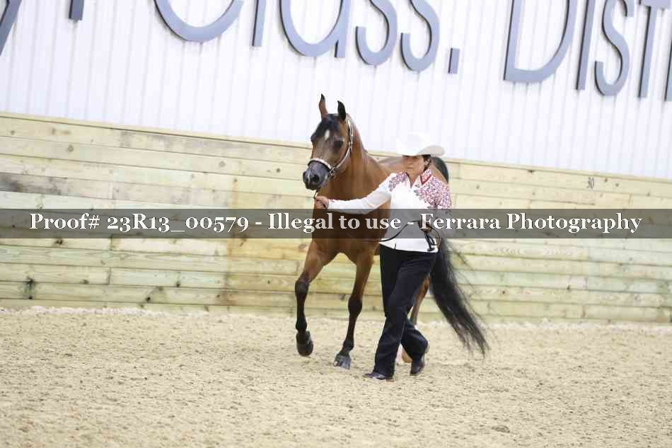 Proof Number 23R13_00579