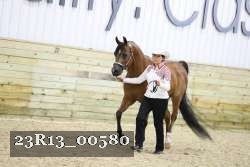 23R13_00580 thumbnail