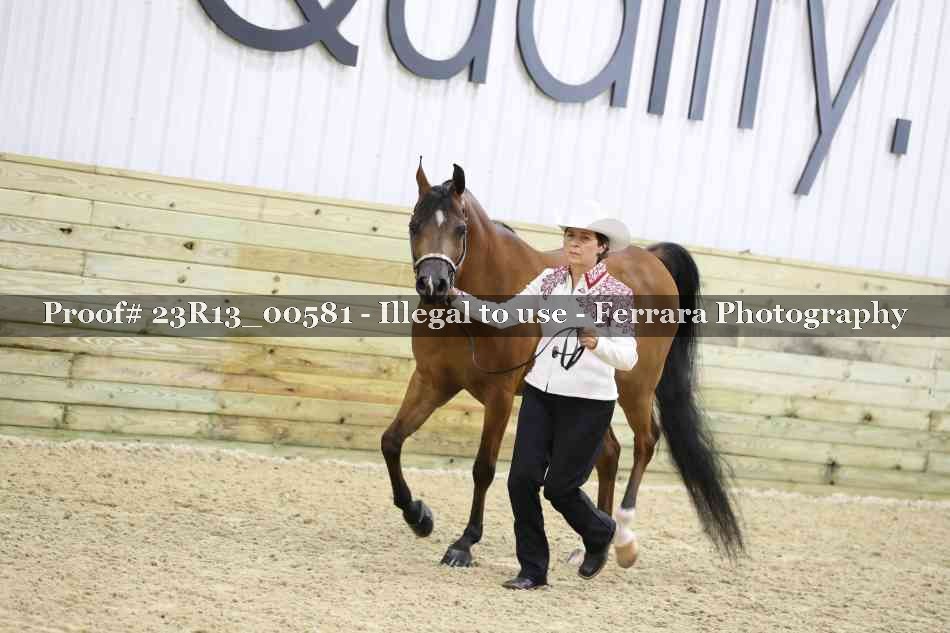 Proof Number 23R13_00581