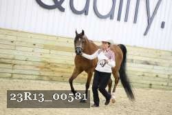 23R13_00581 thumbnail