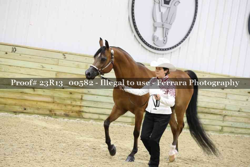 Proof Number 23R13_00582