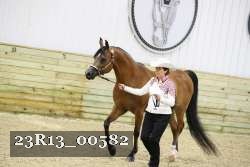 23R13_00582 thumbnail