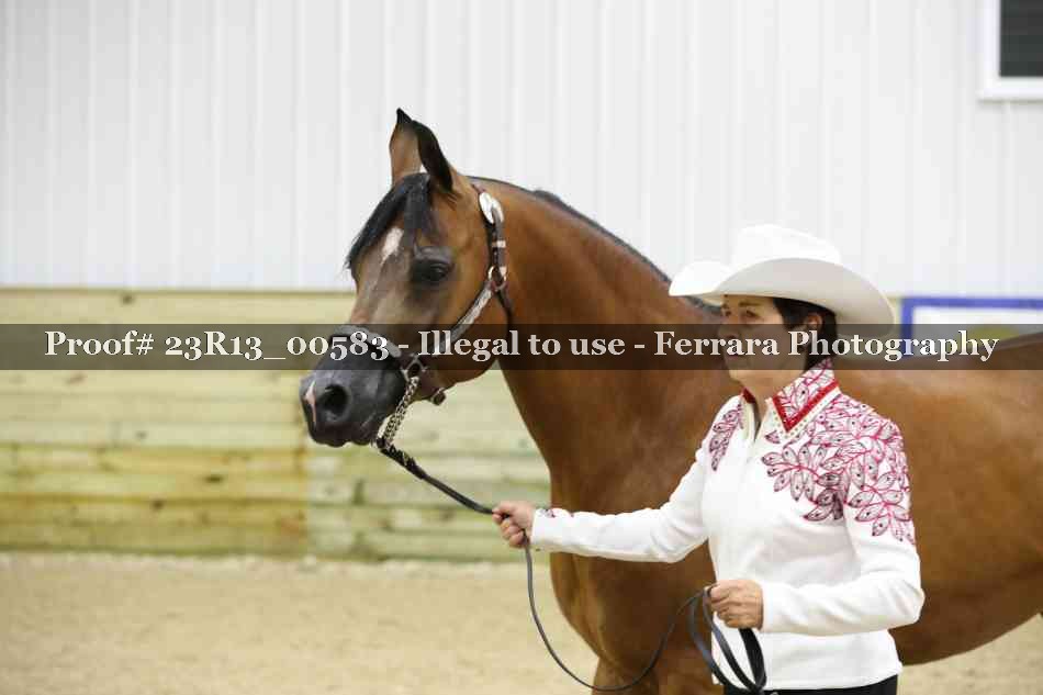 Proof Number 23R13_00583