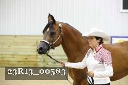 23R13_00583 thumbnail