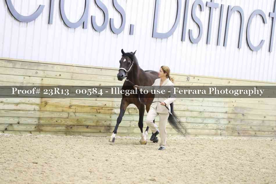 Proof Number 23R13_00584