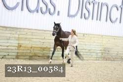 23R13_00584 thumbnail