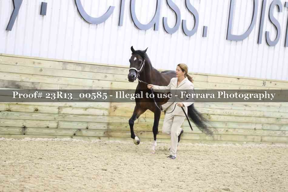 Proof Number 23R13_00585