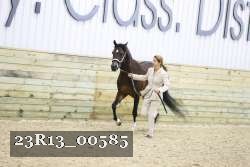 23R13_00585 thumbnail