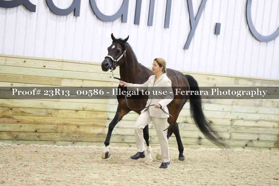 Proof Number 23R13_00586