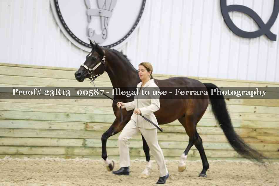 Proof Number 23R13_00587