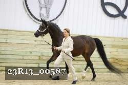 23R13_00587 thumbnail