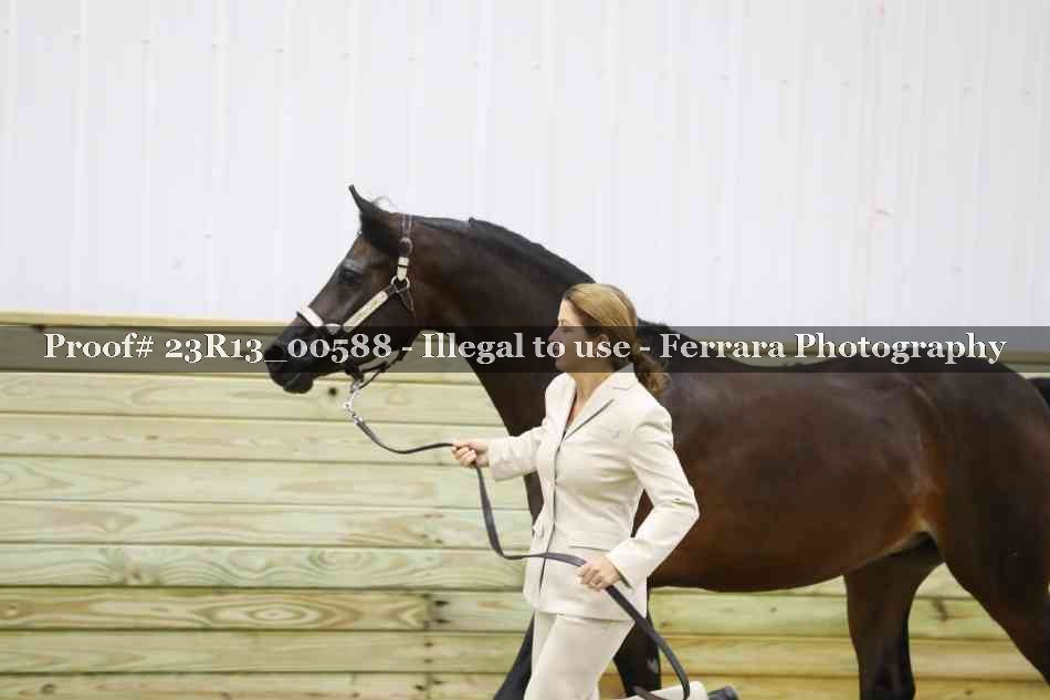 Proof Number 23R13_00588