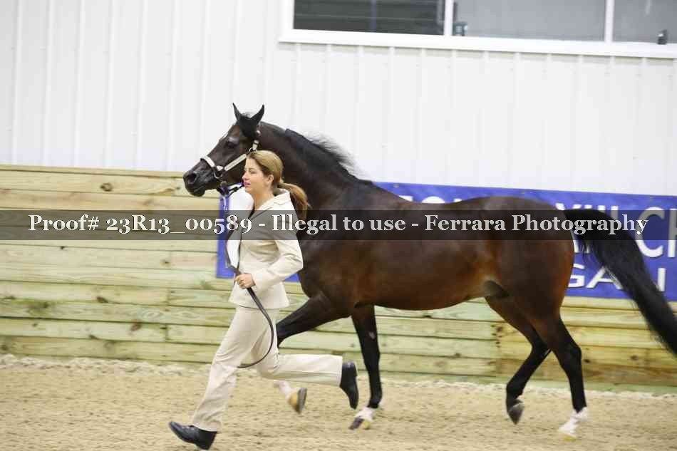 Proof Number 23R13_00589