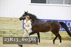 23R13_00589 thumbnail