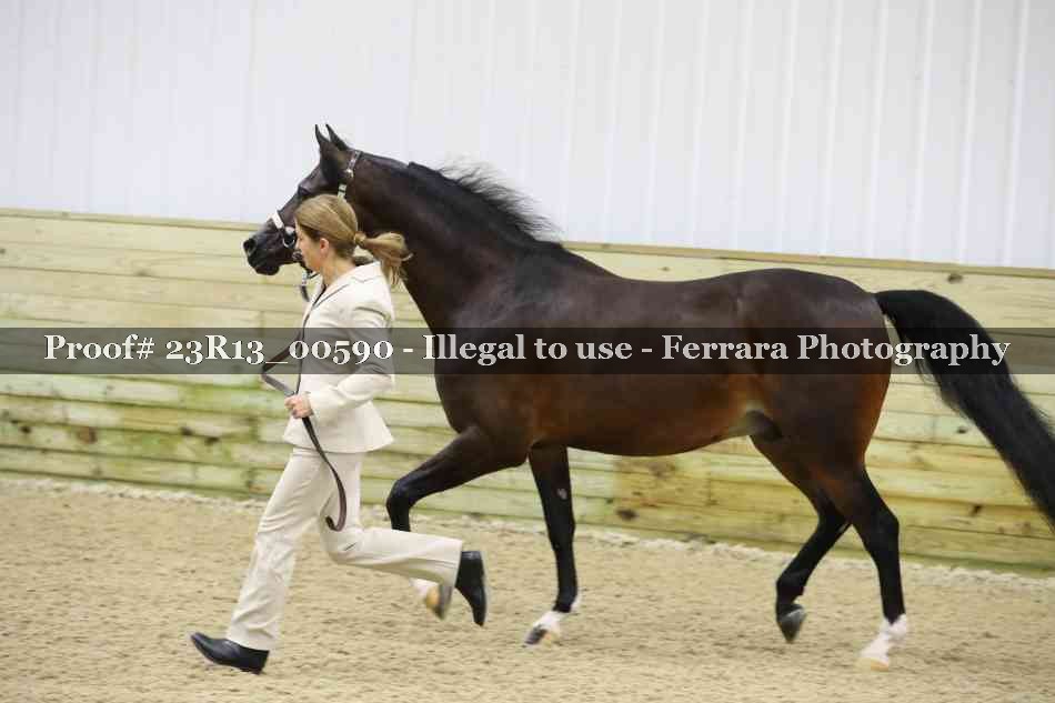 Proof Number 23R13_00590