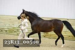 23R13_00590 thumbnail