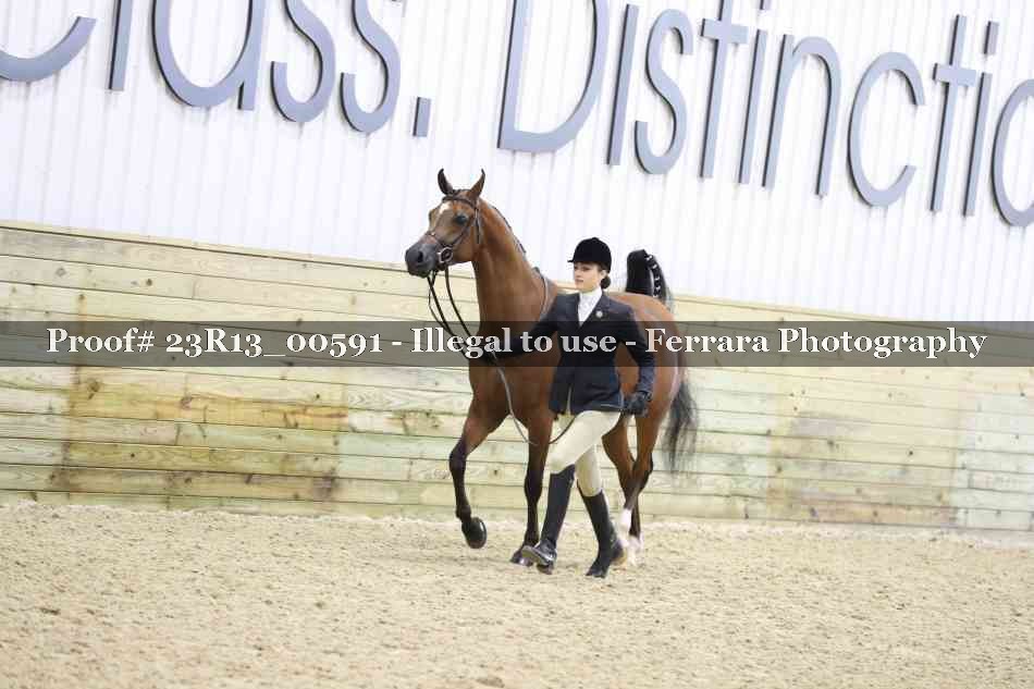 Proof Number 23R13_00591