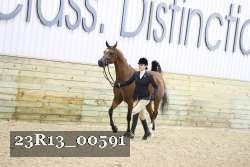 23R13_00591 thumbnail