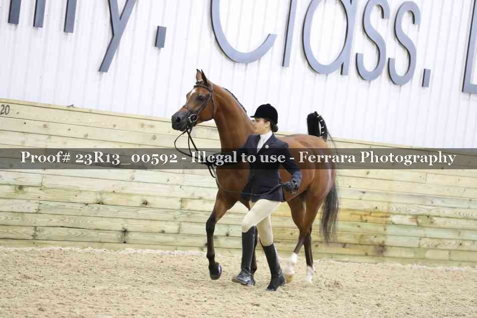 Proof Number 23R13_00592