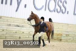 23R13_00592 thumbnail