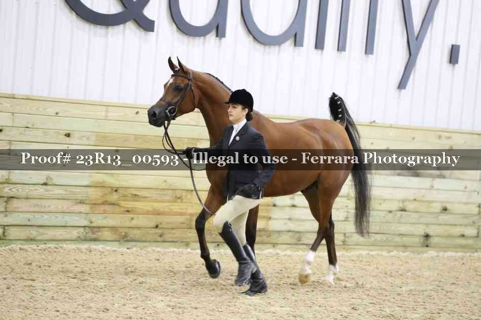 Proof Number 23R13_00593