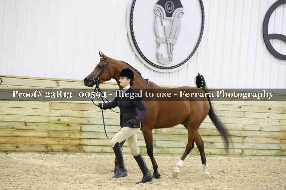 Proof Number 23R13_00594