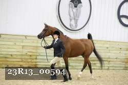 23R13_00594 thumbnail