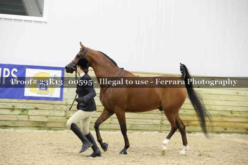 Proof Number 23R13_00595