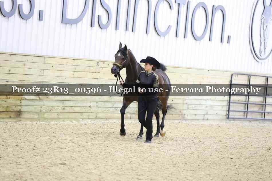 Proof Number 23R13_00596