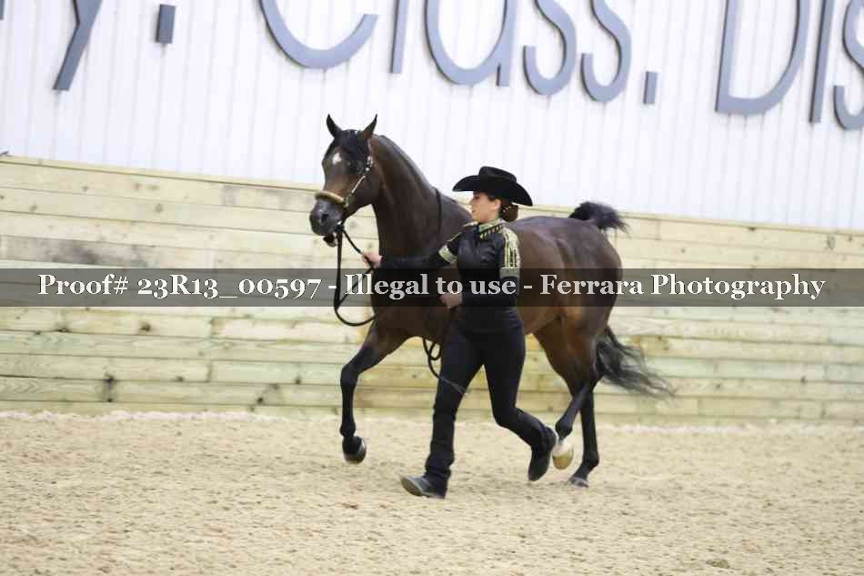 Proof Number 23R13_00597