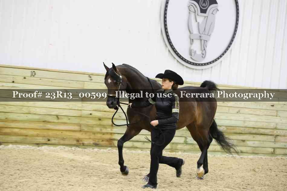 Proof Number 23R13_00599