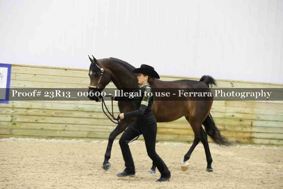 Proof Number 23R13_00600