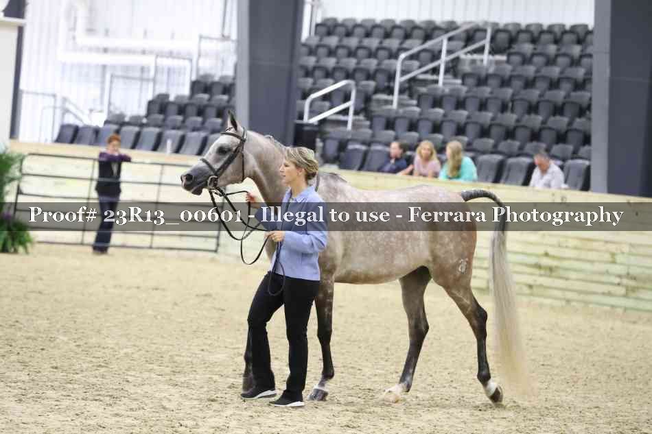 Proof Number 23R13_00601