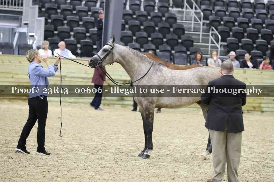 Proof Number 23R13_00606