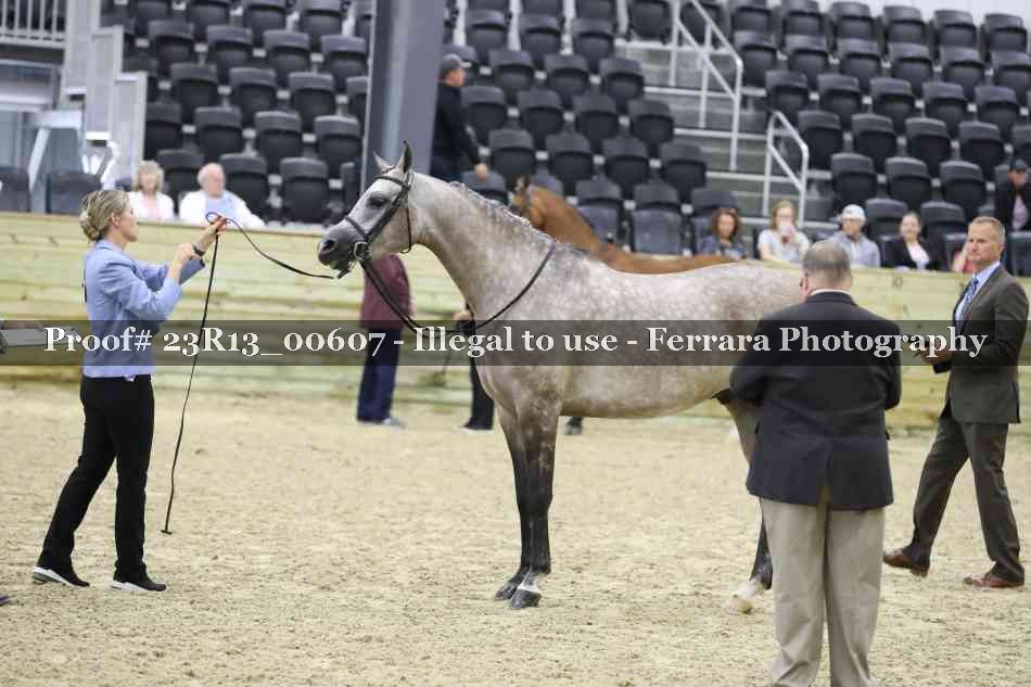 Proof Number 23R13_00607