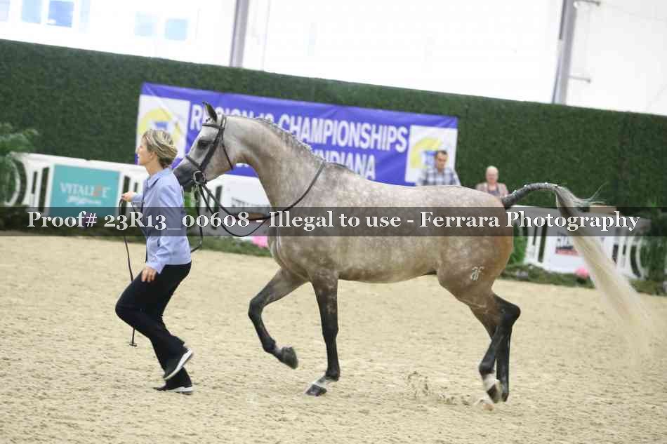 Proof Number 23R13_00608