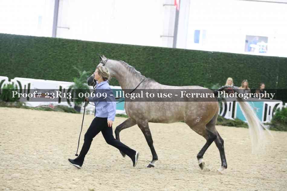 Proof Number 23R13_00609