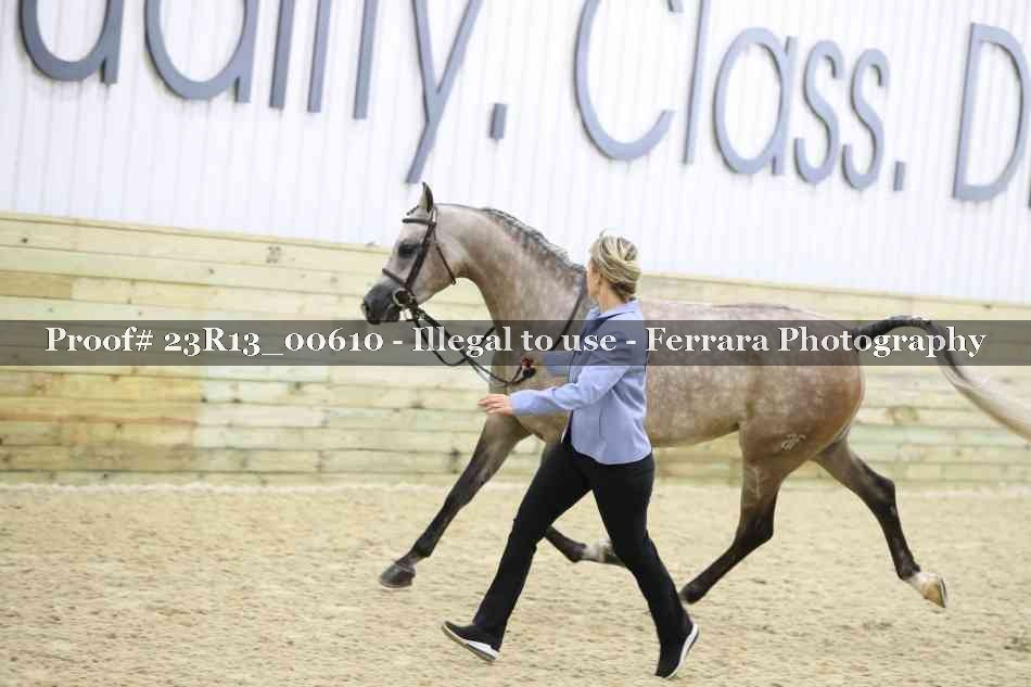 Proof Number 23R13_00610