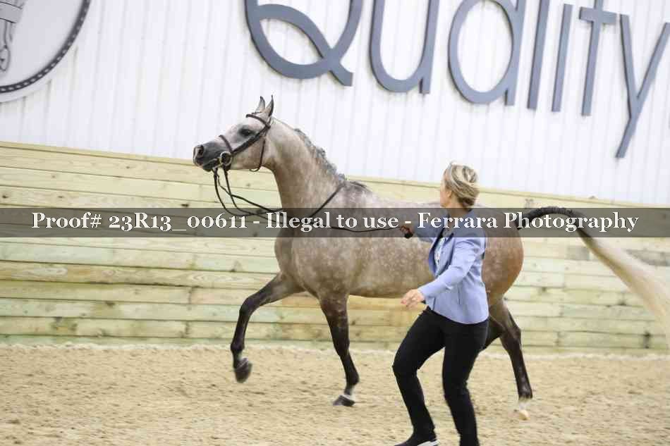 Proof Number 23R13_00611