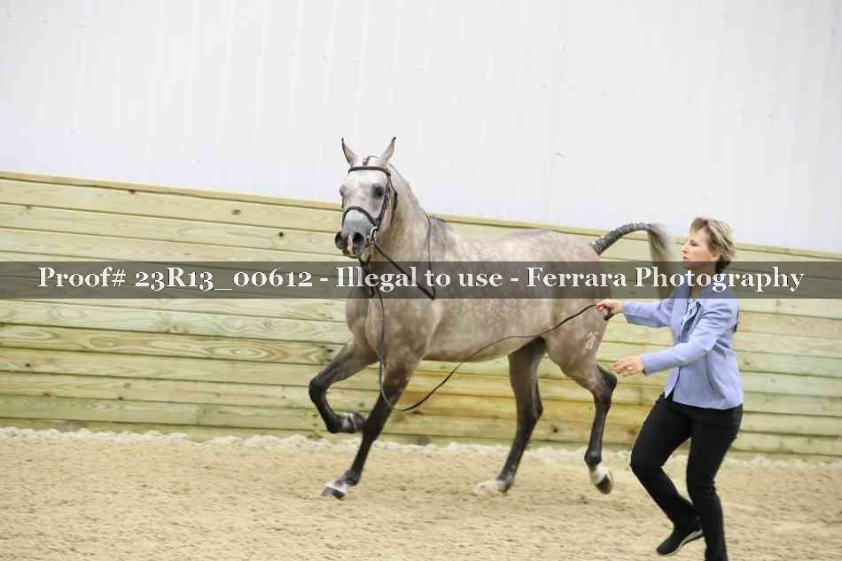 Proof Number 23R13_00612