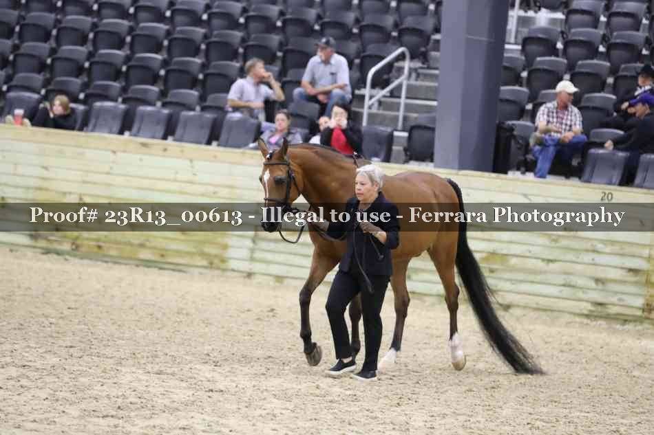 Proof Number 23R13_00613
