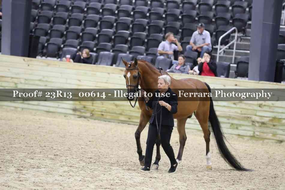 Proof Number 23R13_00614