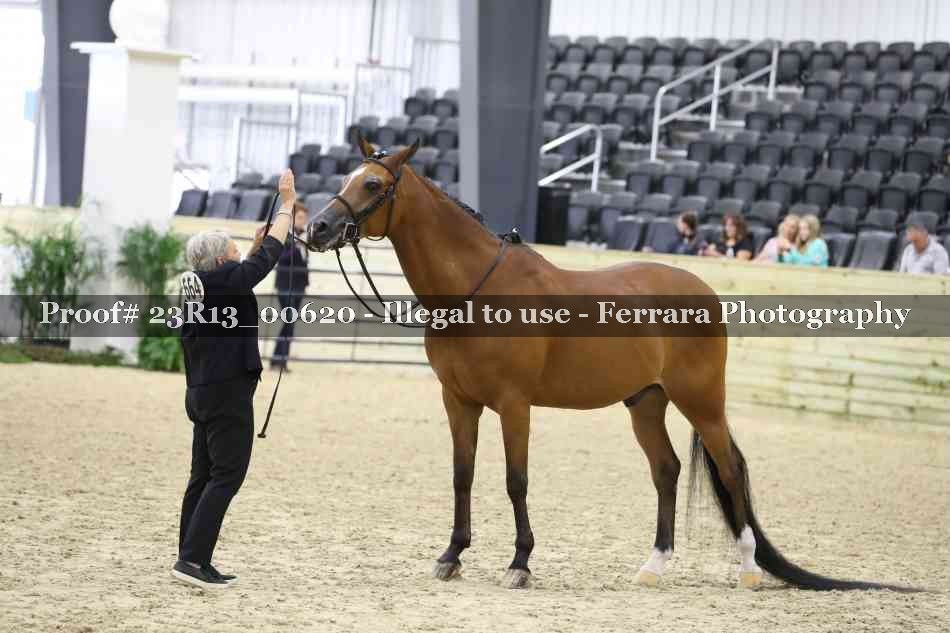 Proof Number 23R13_00620